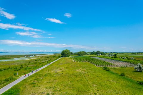 Neusiedler See Radweg