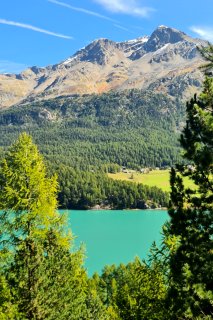 Ausblick Silvaplana See Schweiz.