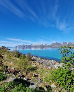 Ausblick Norwegen aufs Wasser