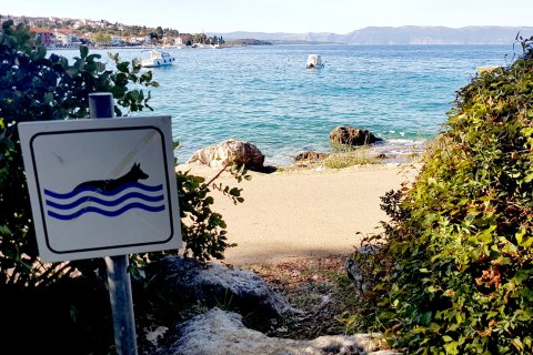 Hundestrand Kroatien