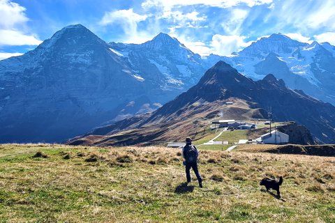 Mann und Hund mit Blick eiger Mönch Jungfrau
                           in der Schweiz. Bergen.