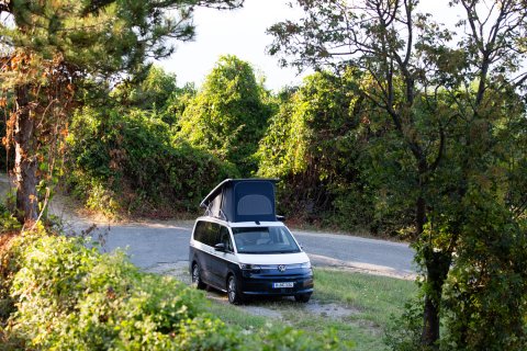 VW New California Ocean TDI