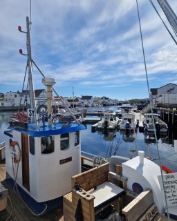 Hafen mit Boten